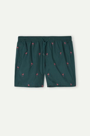 Intimissimi Embroidered Flamingo Úszónadrág Férfi Sötétzöld | HUOR3313