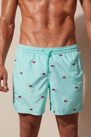 Intimissimi Embroidered Watermelon Úszónadrág Férfi Világos Türkiz Zöld | HUNB3297