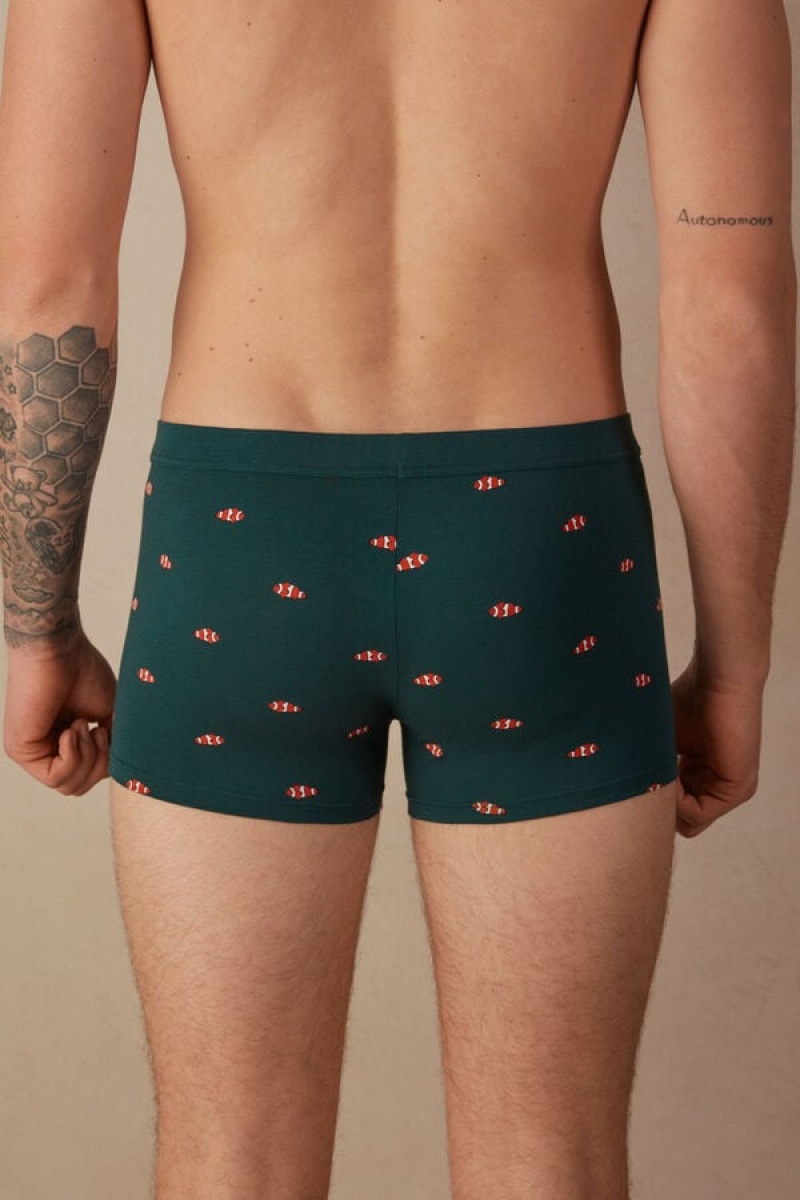 Intimissimi Clownfish in Stretch Supima® Pamut Boxer Férfi Sötétzöld | HUGL3405