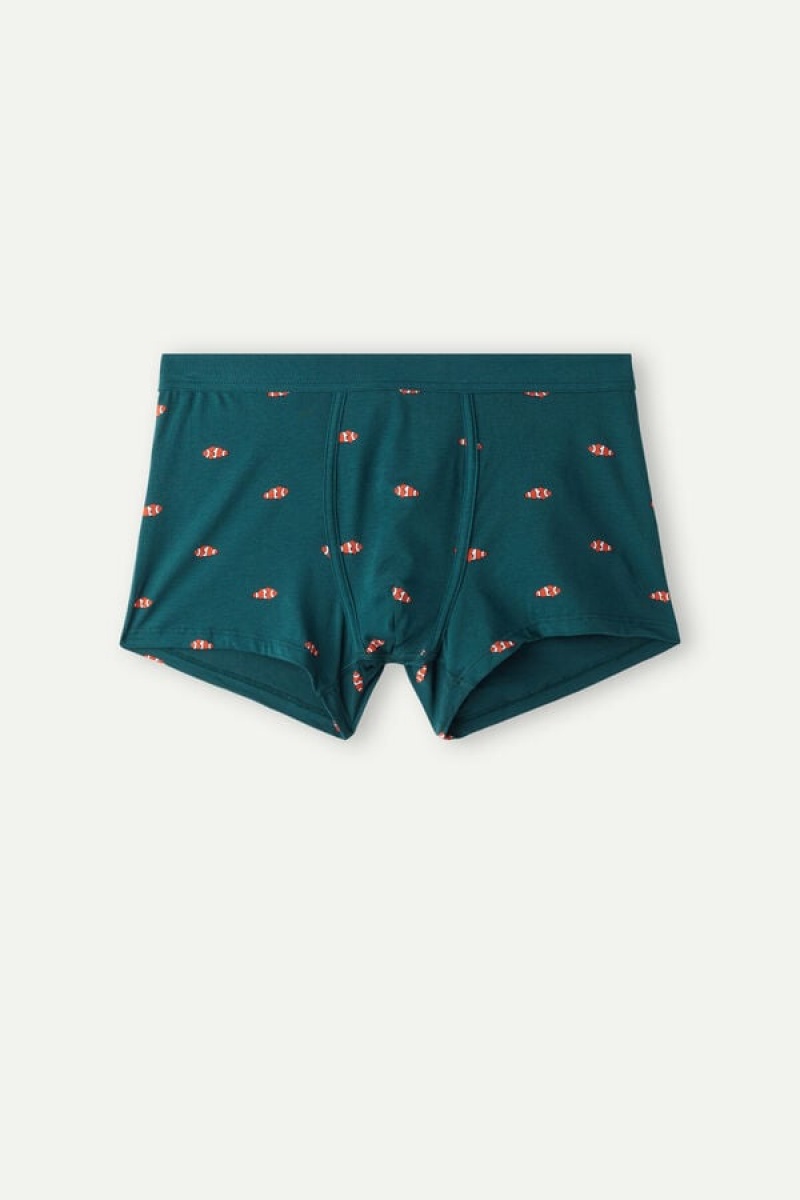 Intimissimi Clownfish in Stretch Supima® Pamut Boxer Férfi Sötétzöld | HUGL3405