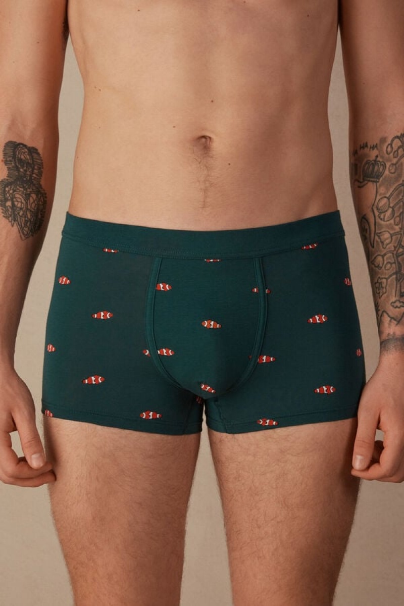 Intimissimi Clownfish in Stretch Supima® Pamut Boxer Férfi Sötétzöld | HUGL3405