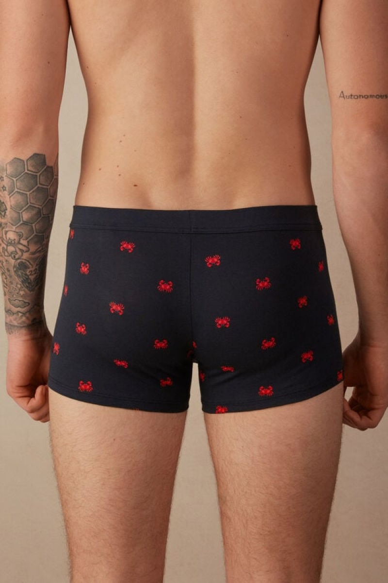 Intimissimi Crab in Stretch Supima® Pamut Boxer Férfi Kék | HUFM3406