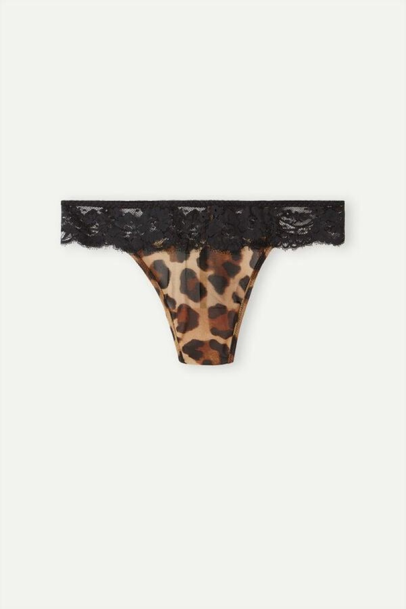 Intimissimi Lady Animalier Tanga Bugyi Női Barna | HUSO3790