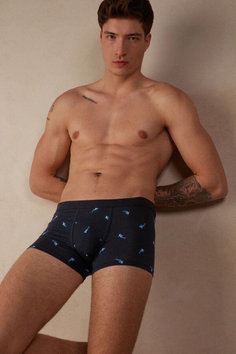 Intimissimi Shark in Stretch Supima® Pamut Boxer Férfi Kék Sötétszürke | HUHK3404