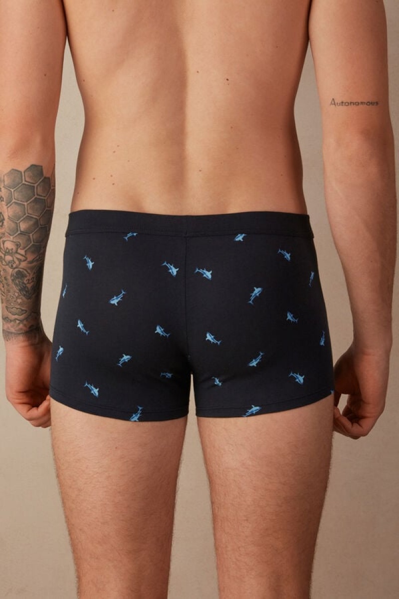 Intimissimi Shark in Stretch Supima® Pamut Boxer Férfi Kék Sötétszürke | HUHK3404