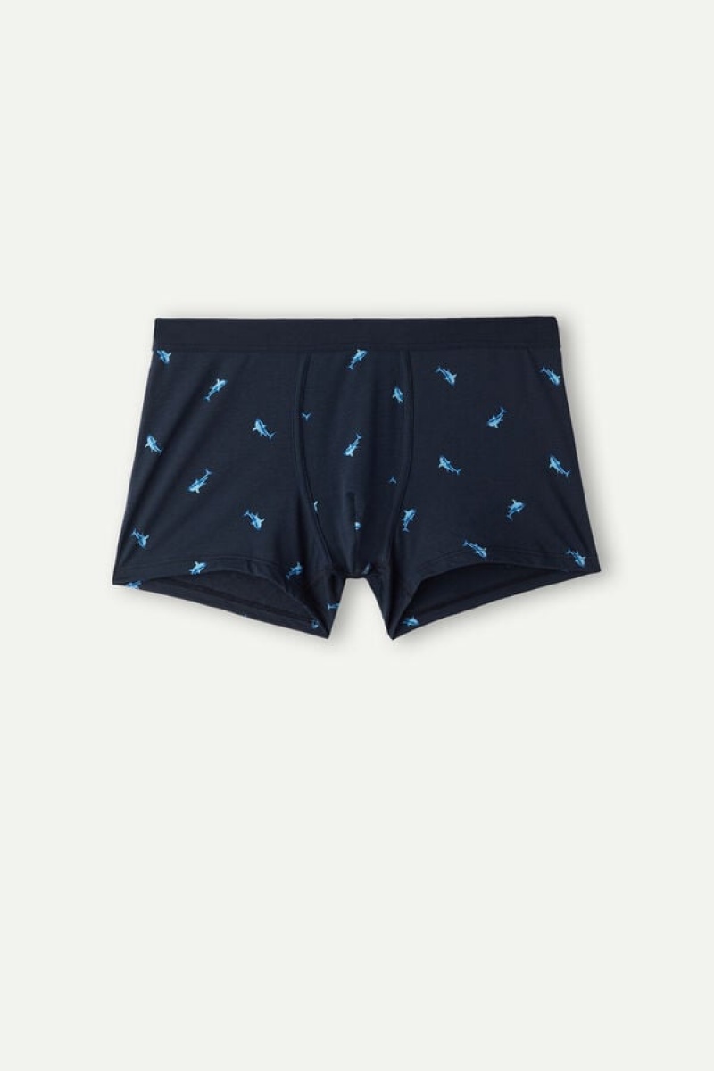 Intimissimi Shark in Stretch Supima® Pamut Boxer Férfi Kék Sötétszürke | HUHK3404