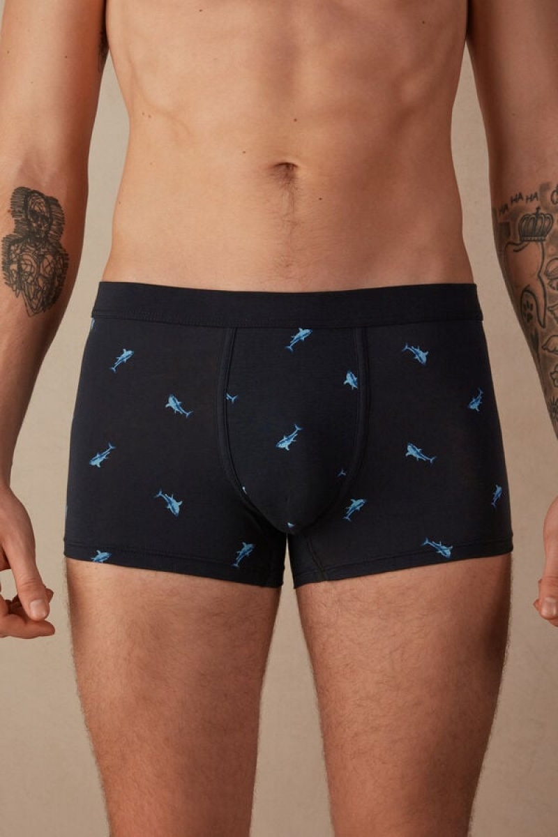 Intimissimi Shark in Stretch Supima® Pamut Boxer Férfi Kék Sötétszürke | HUHK3404