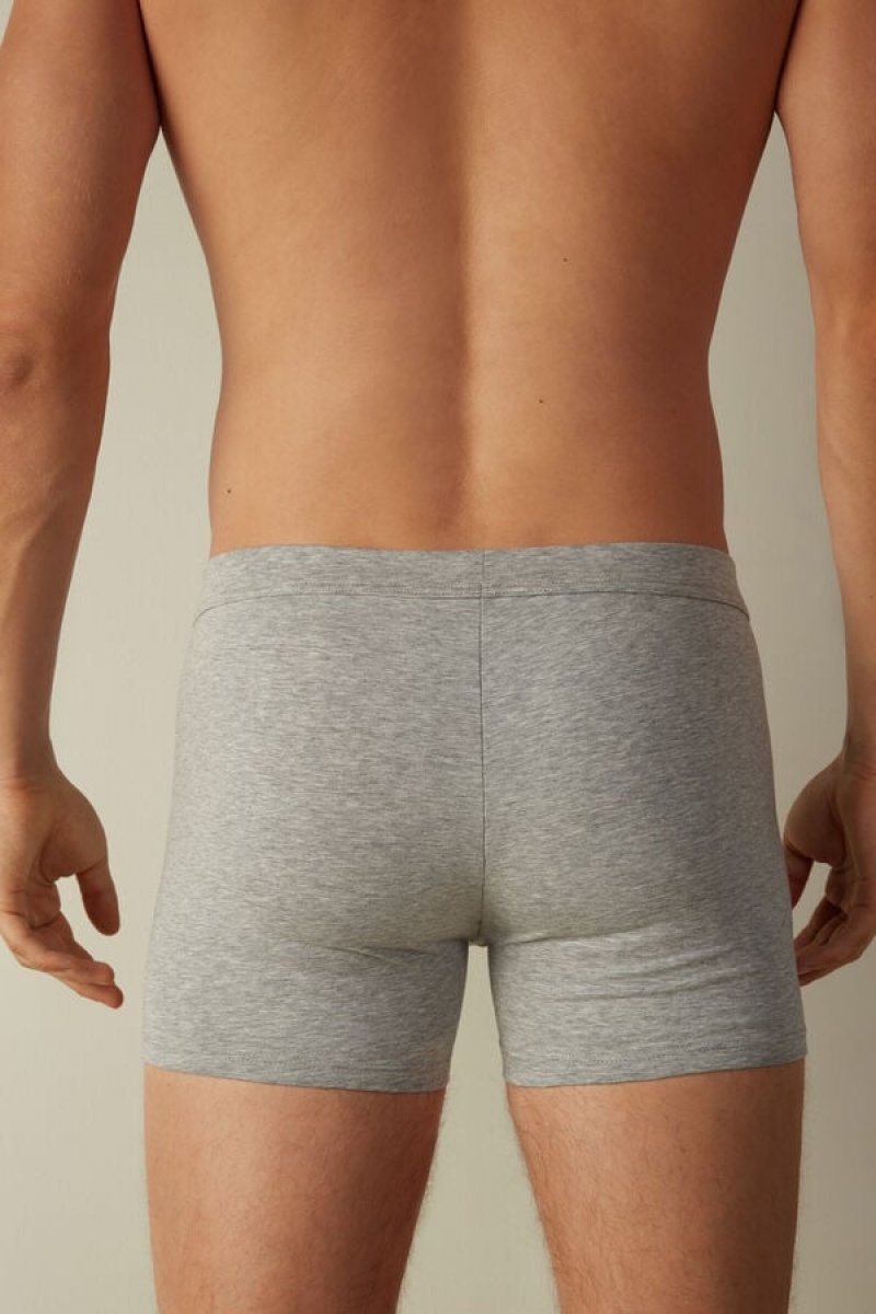 Intimissimi Supima® Pamut Loose Fit Boxer Férfi Világos Szürke | HUHK3456